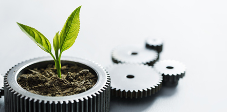 TESTARE - Tecnologie e strumenti di caratterizzazione e gestione avanzata dell'ambiente