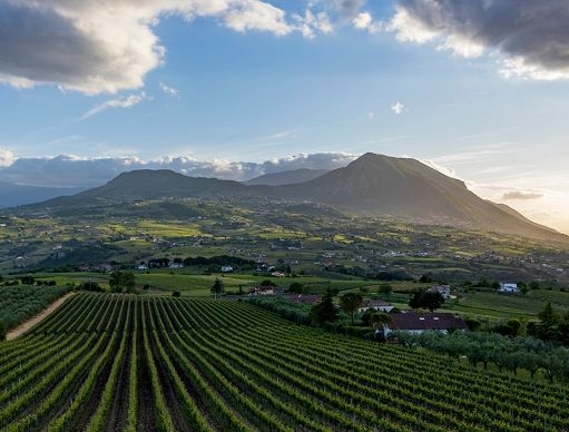 Sannio Top Wines 2026