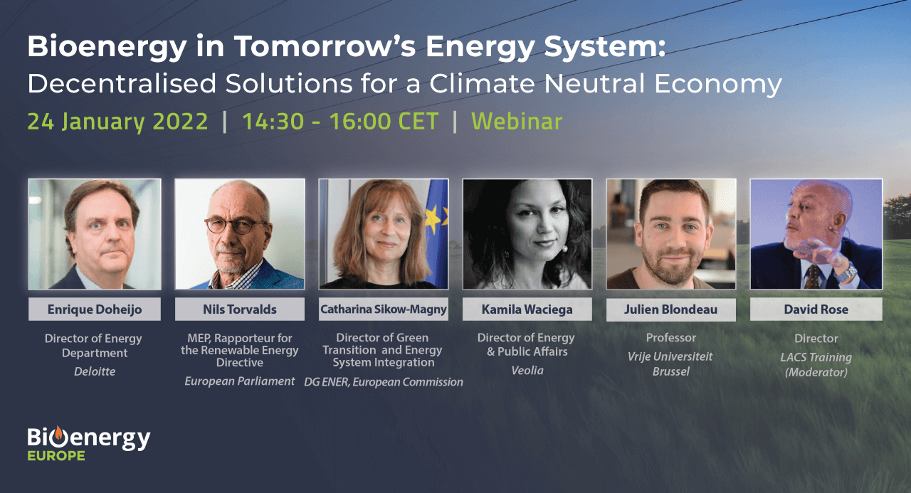 Bioenergy in Tomorrow’s Energy System: Decentralised Solutions for a Climate Neutral Economy