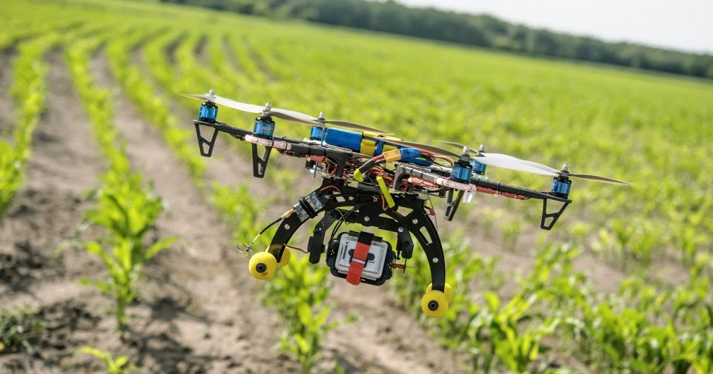 Agricoltura e alimentazione del futuro: nuovi lavori, mestieri e sfide tra innovazione e sostenibilità