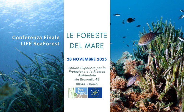 Conferenza finale del progetto LIFE SeaForest