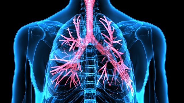 3° Congresso Nazionale Ma.Re.D. (Malattie Respiratorie correlate all’uso di Droghe)