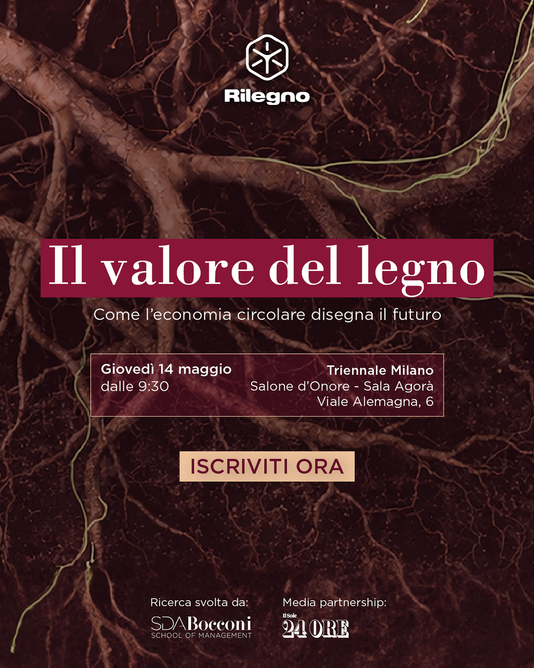 Il valore del legno - Come l'economia circolare disegna il futuro