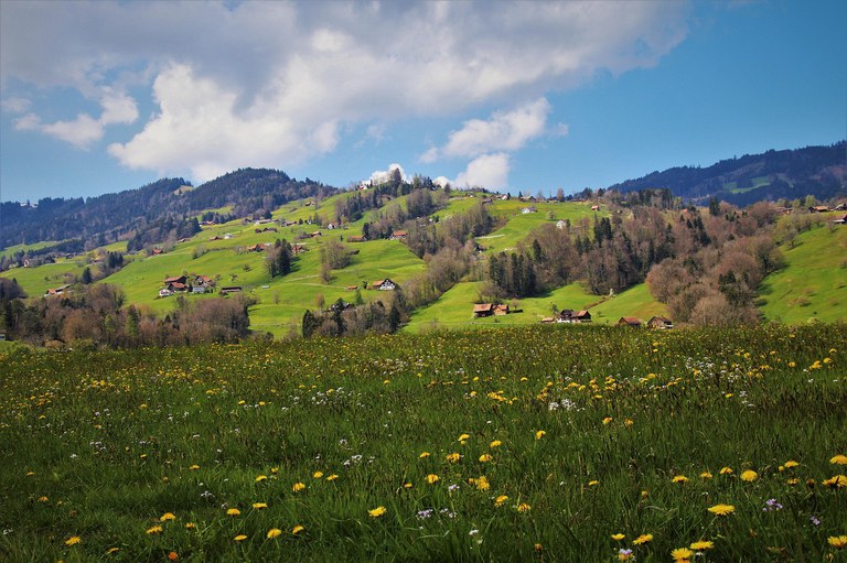 Protected Areas and Conservation