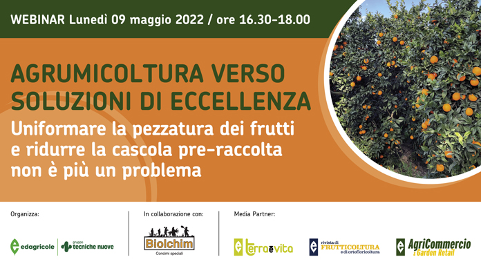 Agrumicoltura verso soluzioni di eccellenza