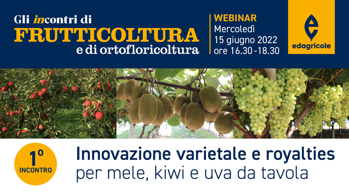 Innovazione varietale e royalties per mele, kiwi e uva da tavola