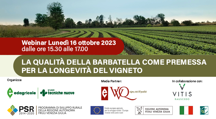 La qualità della barbatella come premessa per la longevità del vigneto