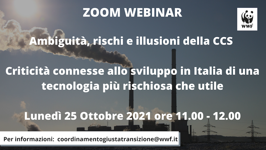 Ambiguità rischi e illusioni della CCS