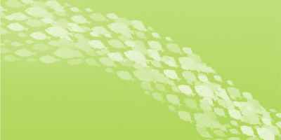 Blue economy nel Nordest tra transizione e trasformazione: le rotte future della filiera ittica