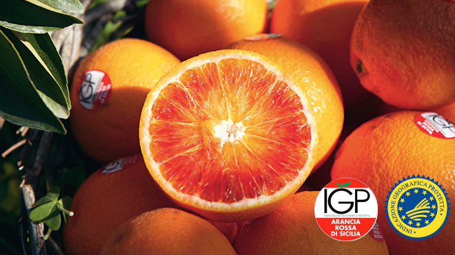 La riforma del sistema delle Indicazioni Geografiche in EU: rafforzare il ruolo dei consorzi come motore dello sviluppo e della sostenibilit&agrave; dei territori