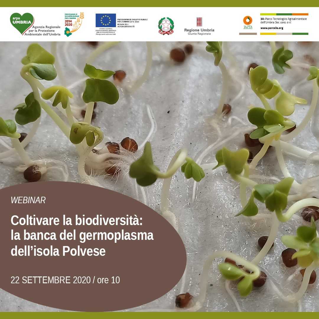 Coltivare la biodiversità: la banca del germoplasma dell'isola Polvese