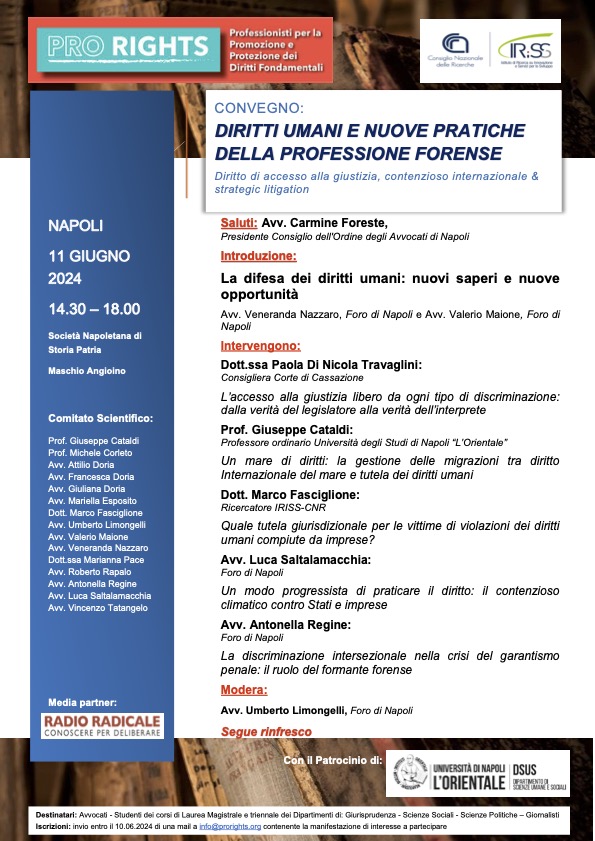 Diritti umani e nuove pratiche della professione forense: diritto di accesso alla giustizia, contenzioso internazionale & strategic litigation