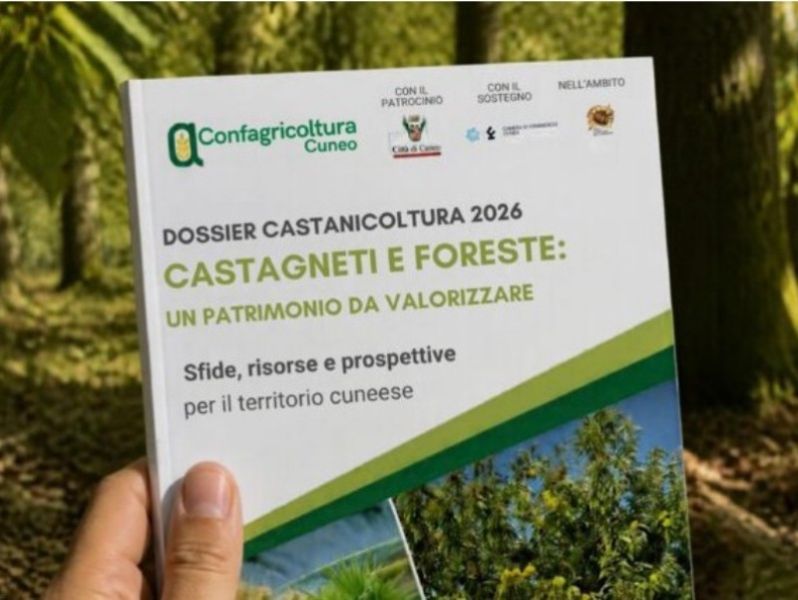 Castagneti e foreste: un patrimonio da valorizzare. Sfide, risorse e prospettive per il territorio cuneese