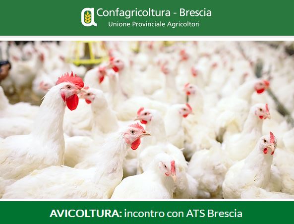 Avicoltura: incontro con ATS Brescia