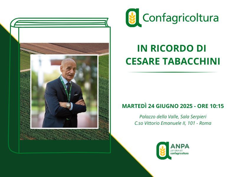 In ricordo di Cesare Tabacchini