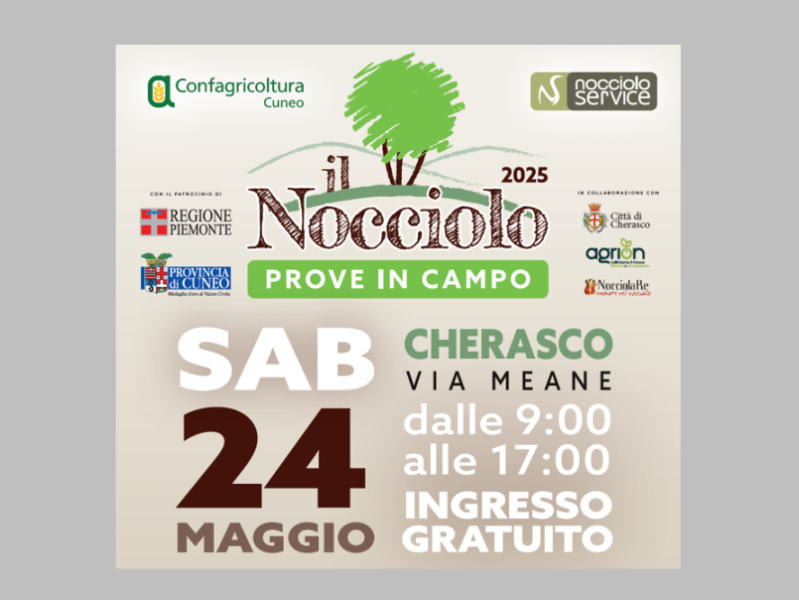 Il nocciolo – Prove in campo