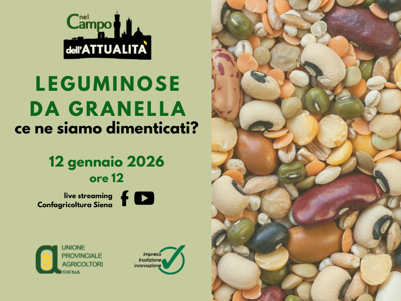 Leguminose da granella: ce ne siamo dimenticati?