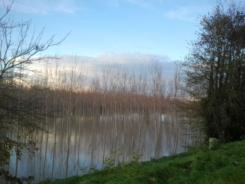 Un futuro possibile - La gestione dei grandi fiumi: le esperienze del Po e del Rodano