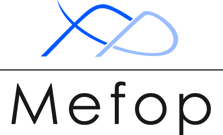 Mappatura dei rischi del processo d'investimento