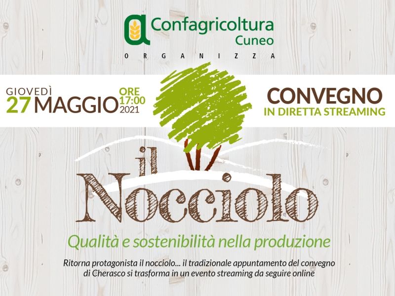 Il nocciolo, qualit&agrave; e sostenibilit&agrave;