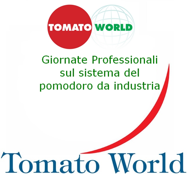 Tomato World 2020