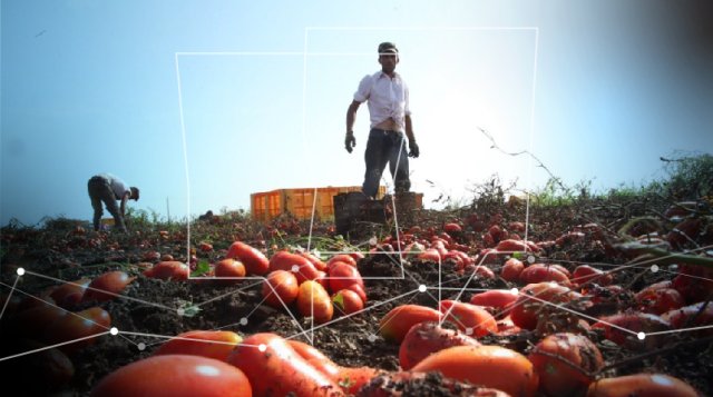 Tecnologia, Agricoltura e Diritto alla Salute