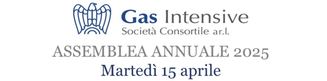 Assemblea Gas Intensive 2025