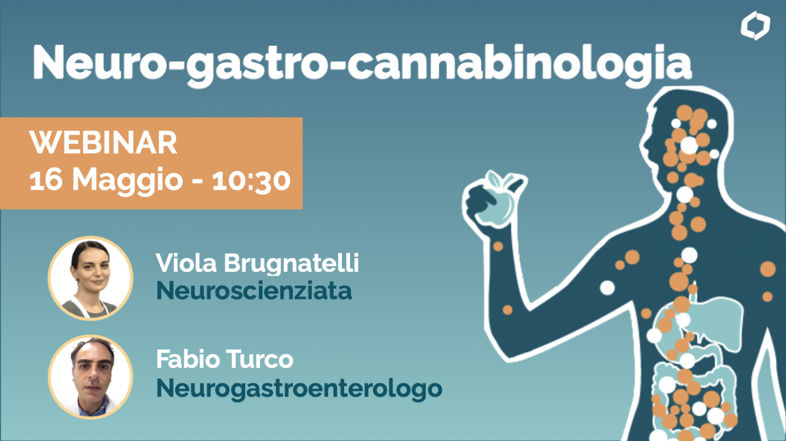 Neuro-Gastro-Cannabinologia. Squilibri dell’appetito, problemi digestivi, intestinali, irritabilità e insonnia