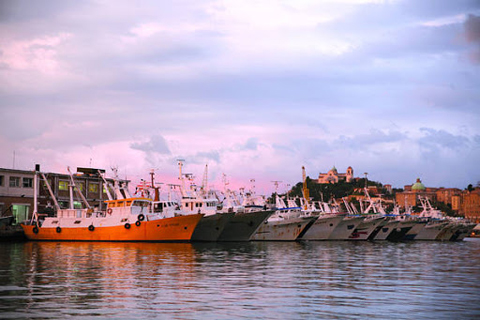 Conferenza stampa della corte conti europea su relazione speciale efficacia azione UE contro import prodotti da pesca illegale