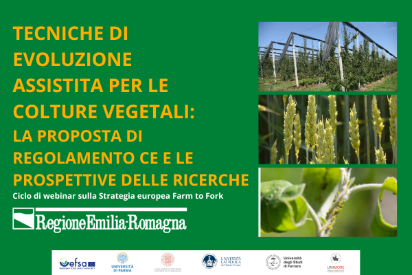 Tecniche di Evoluzione Assistita per le colture vegetali - La proposta di regolamento CE e le prospettive delle ricerche