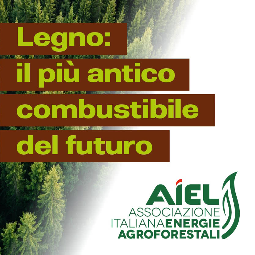 Legno: il più antico biocombustibile del futuro