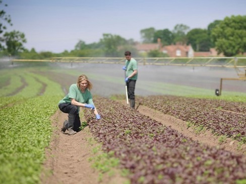 La carovana della buona agricoltura