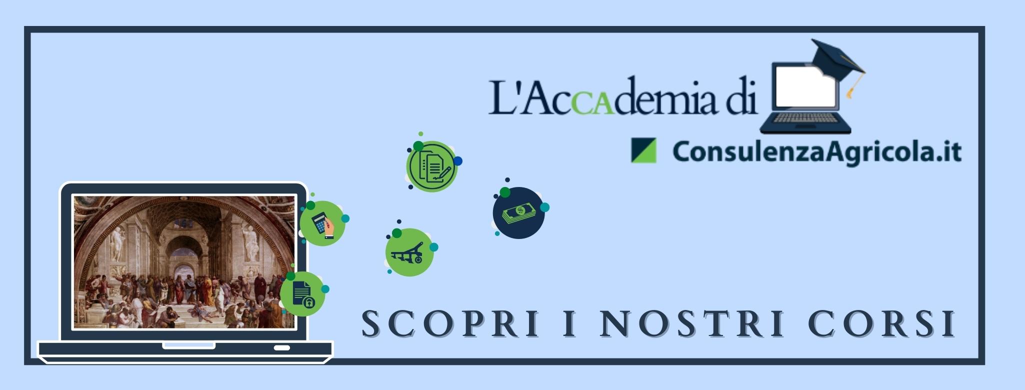 Fotovoltaico in agricoltura: inquadramento civilistico e fiscale e aspetti contabili