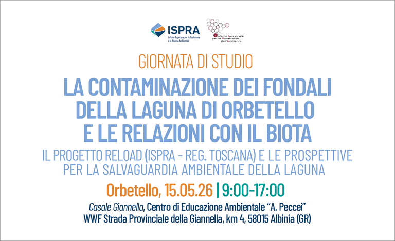 La contaminazione dei fondali della laguna di Orbetello e le relazioni con il biota