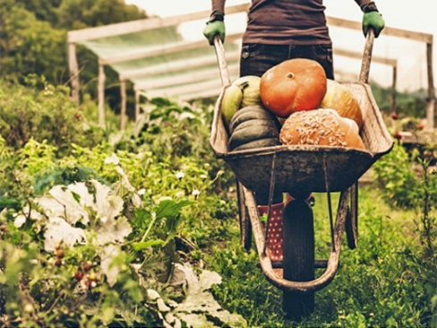 La carovana della buona agricoltura va sul web