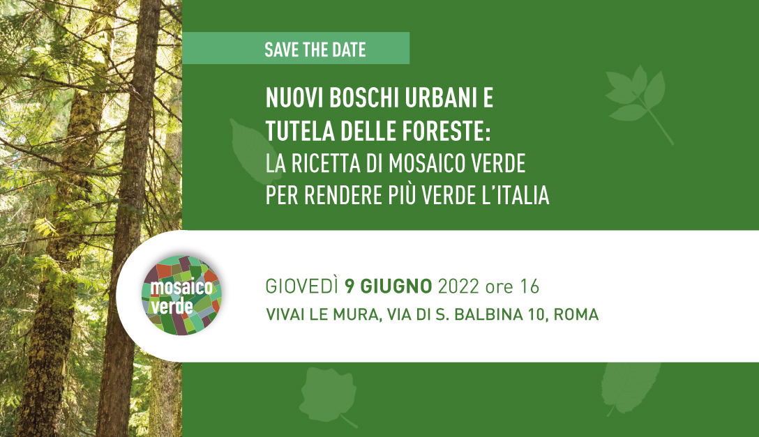 Nuovi boschi urbani e tutela delle foreste: la ricetta di Mosaico Verde per rendere più verde l’Italia