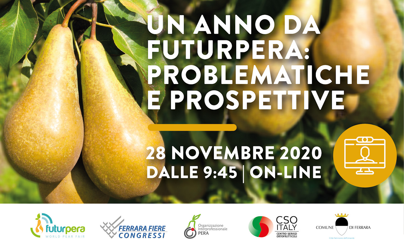 Un anno da FuturPera: problematiche e prospettive