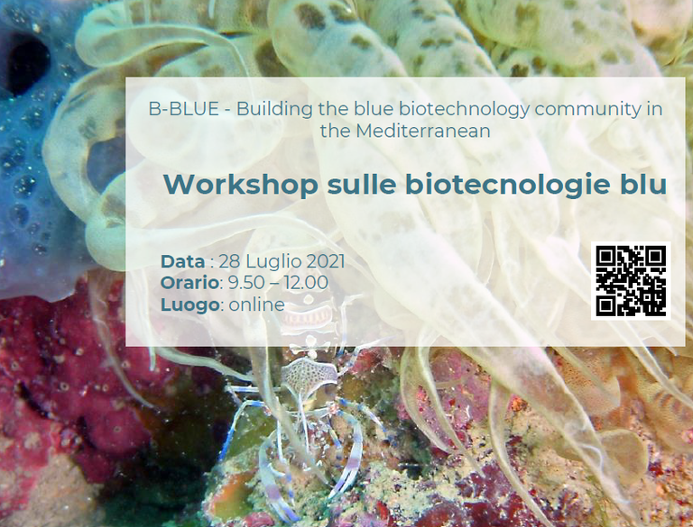 The B-Blue Project: biotechnologies from the Sea Innovation for sustainable blue growth