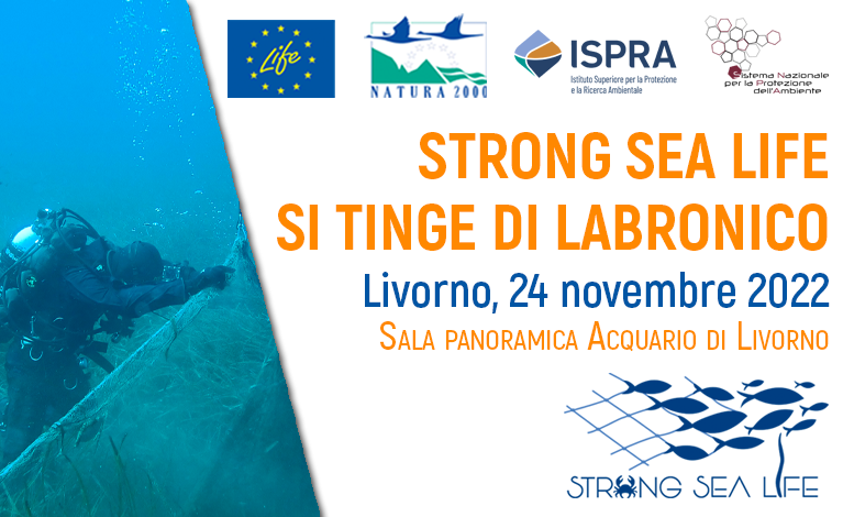 STRONG Sea Life si tinge di Labronico