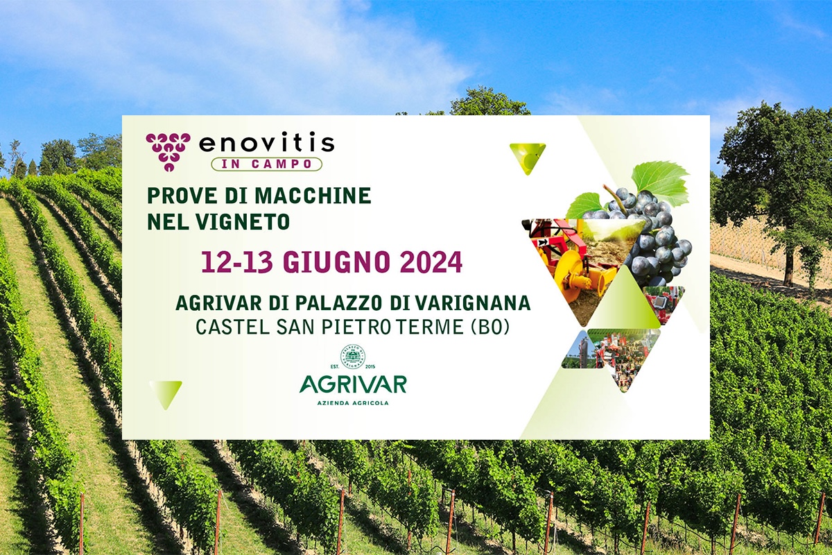Enovitis 2024 - Prove di macchine nel vigneto
