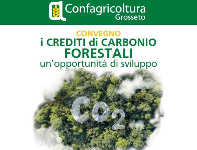 I crediti di carbonio forestali: un’opportunità di sviluppo