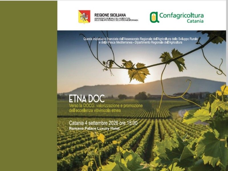 Etna DOC verso la DOCG: valorizzazione e promozione dell'eccellenza vitivinicola etnea