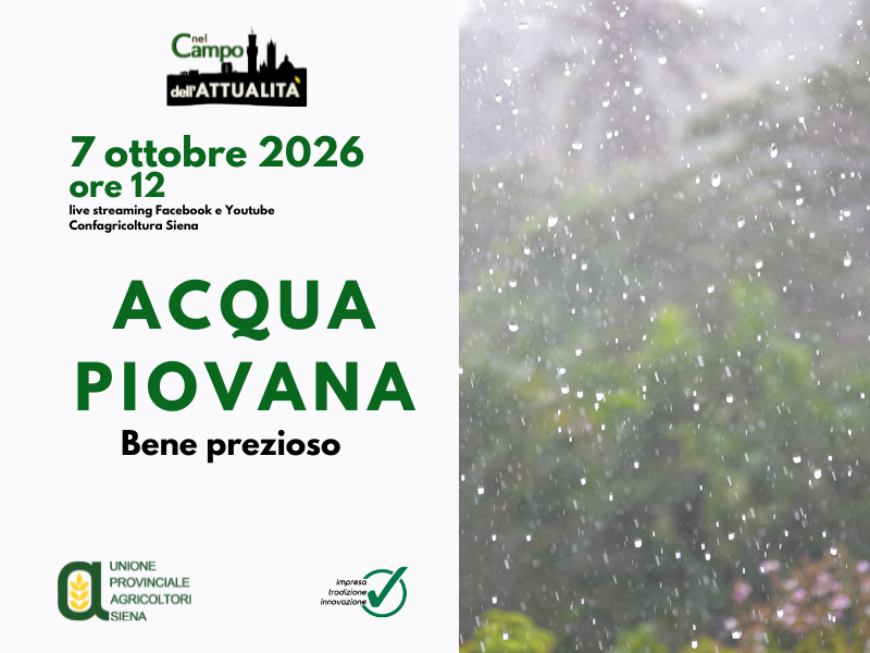 Acqua piovana, bene prezioso