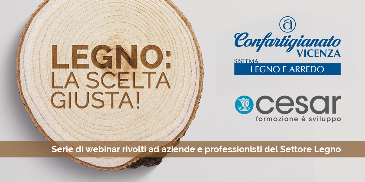 Le principali specie legnose per uso strutturale - Caratteristiche del legno - Classificazione del legno massiccio strutturale - Principi