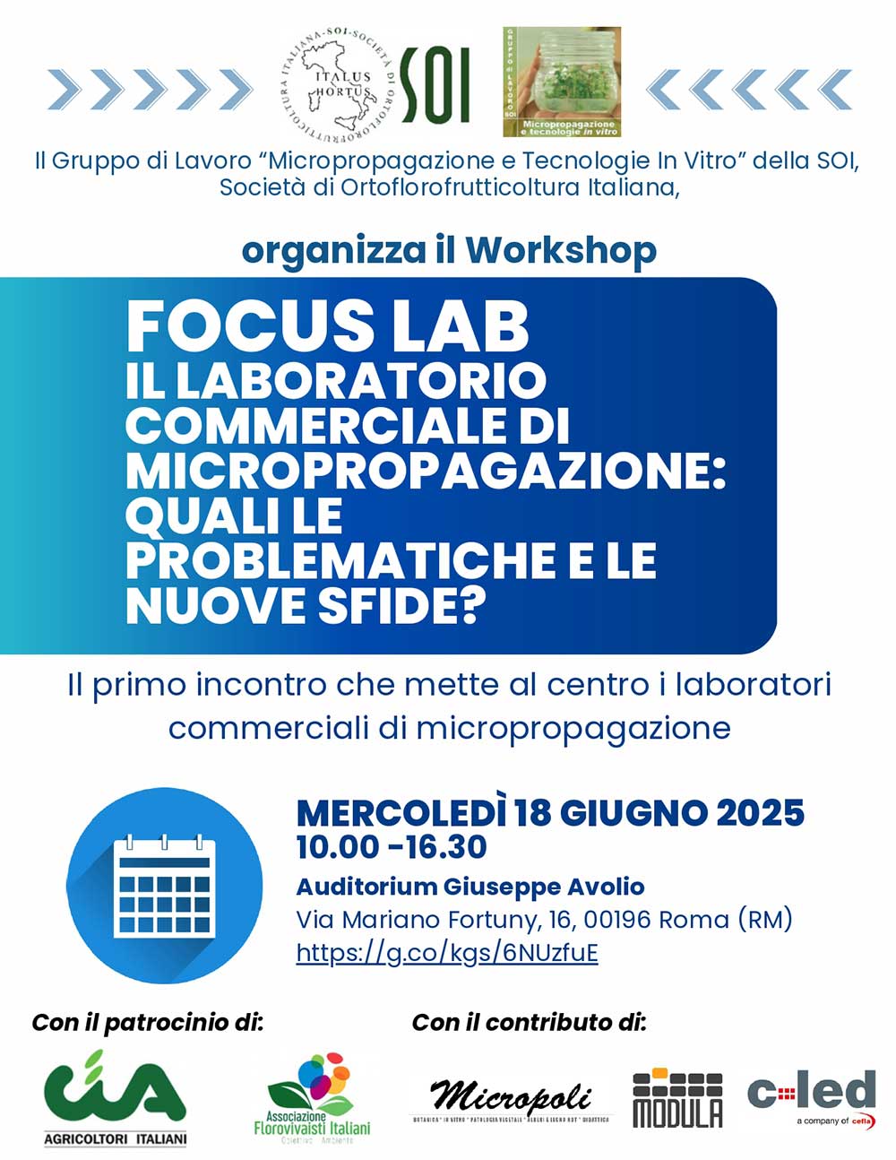 Il laboratorio commerciale di micropropagazione: quali le problematiche e le nuove sfide?