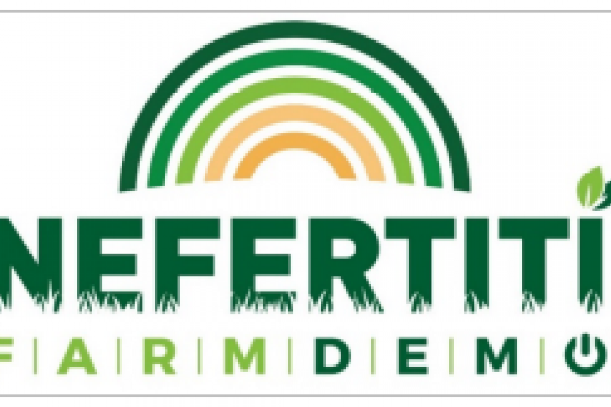 Le politiche pubbliche di supporto Demo Farms: aspettative e potenzialit&agrave;