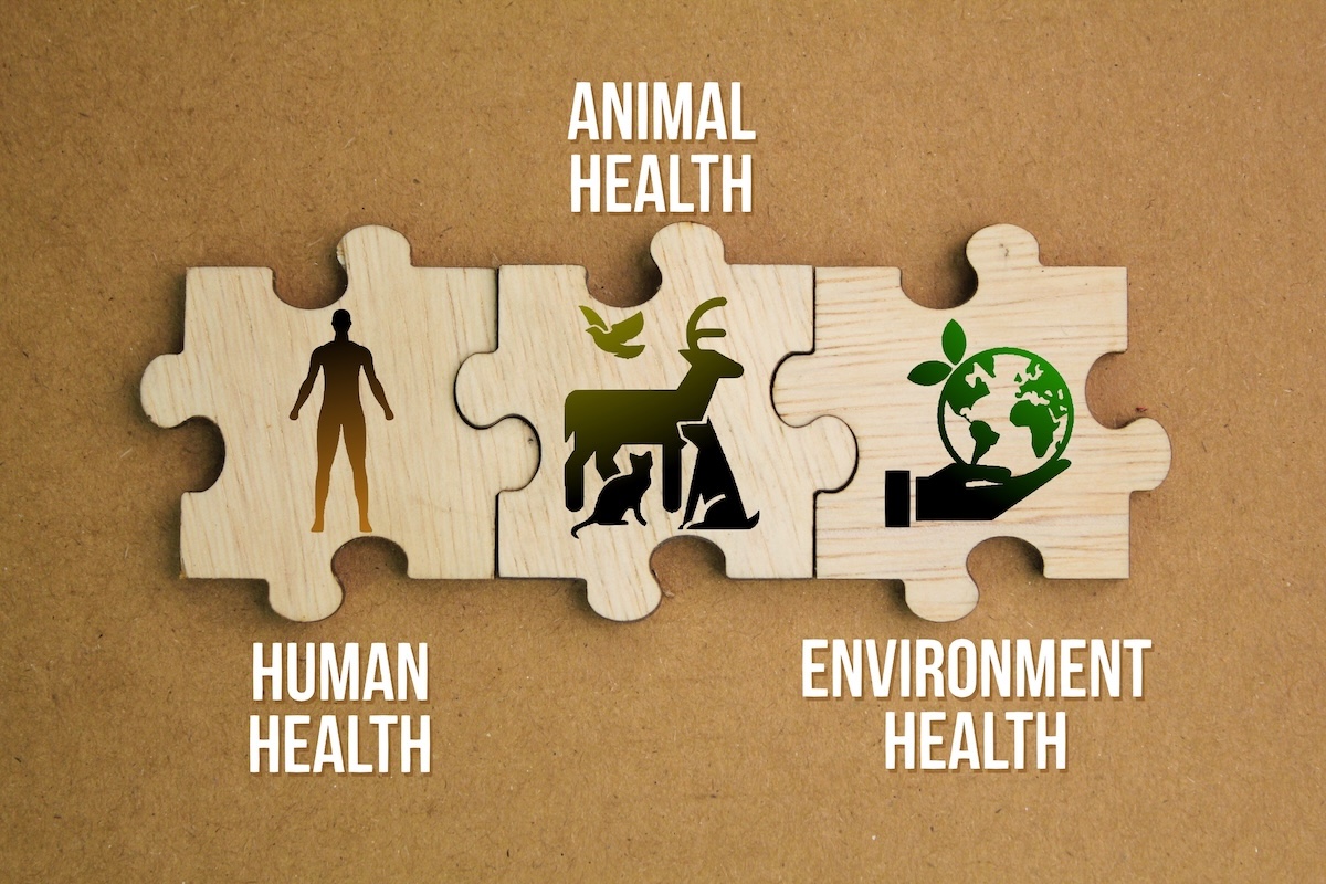 Il microbioma nella strategia One Health: il ruolo sulla salute umana, animale, vegetale e del suolo