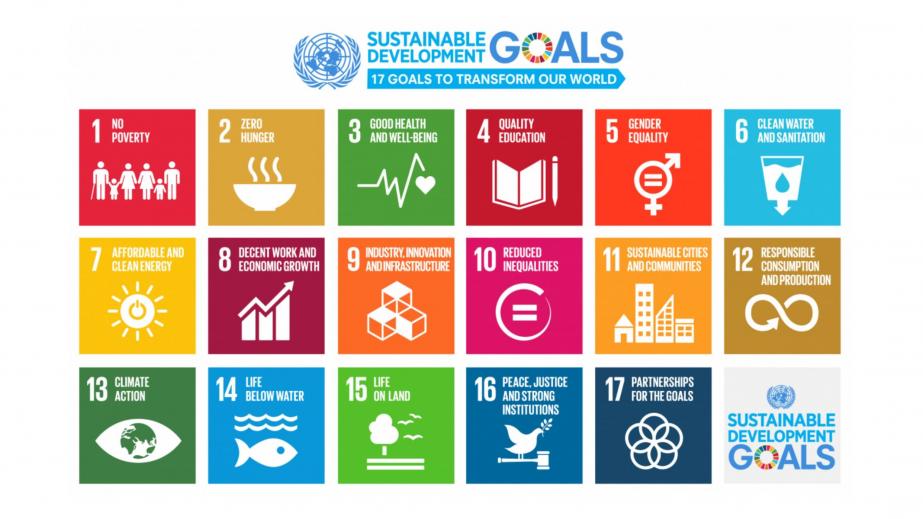 Financing for the Sustainable Development Goals