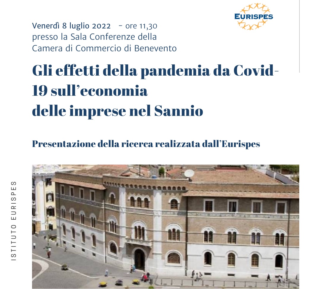 Gli effetti della pandemia da Covid-19 sull&rsquo;economia delle imprese nel Sannio