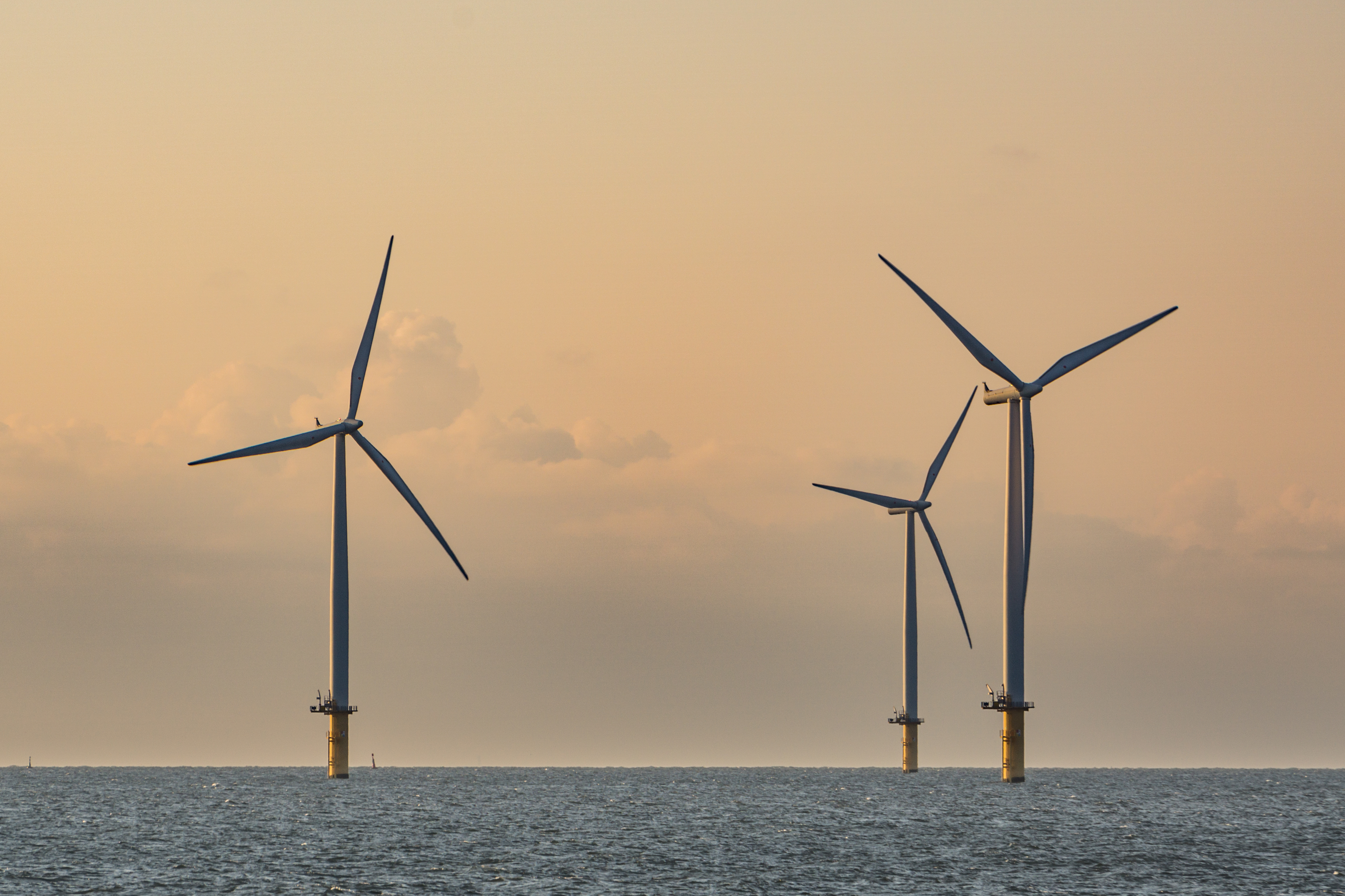 Aspetti economici e pratici connessi allo sviluppo dell&rsquo;eolico off-shore in Italia